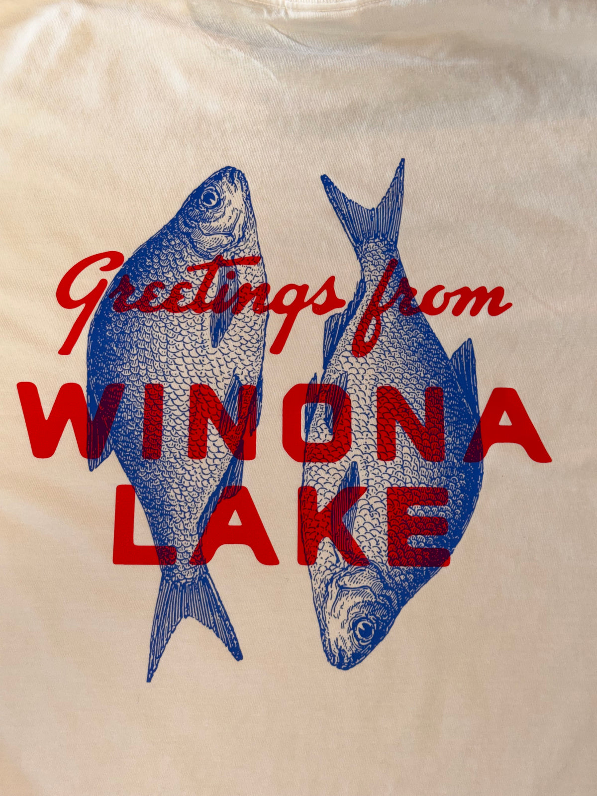 Greetings from Winona Boxy Tee